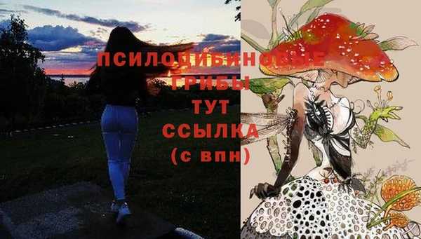 соль курить ск Михайловка