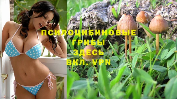 соль курить ск Михайловка