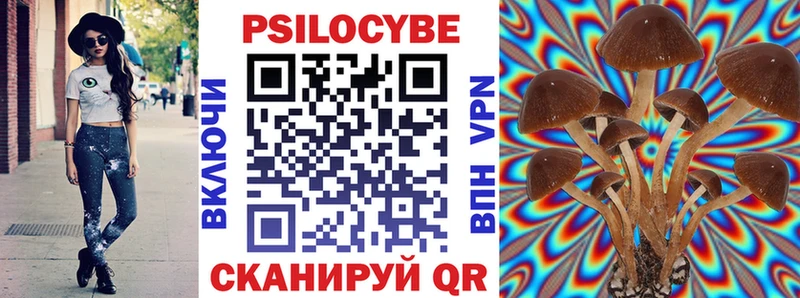 Псилоцибиновые грибы Psilocybine cubensis Ялта